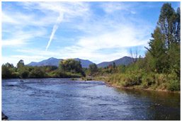 Clear Sky With River And Trees